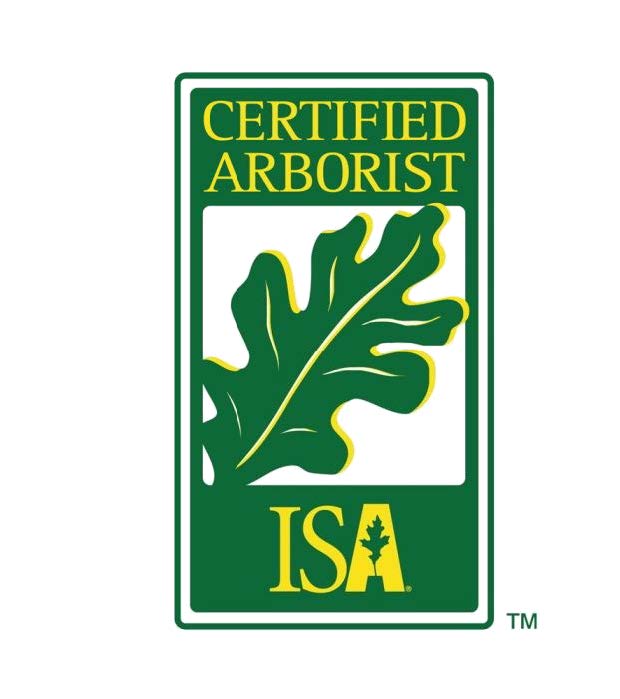 Certified Arborist - ProQual Landscaping