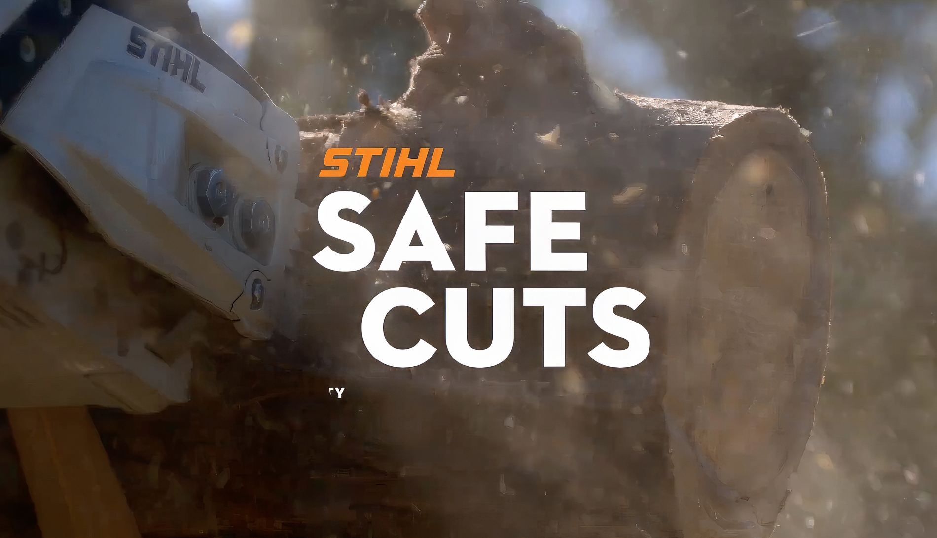 Safe Cuts - Stihl  - Safety & Training: Chainsaw Safety - ProQual Landcaping - AZ