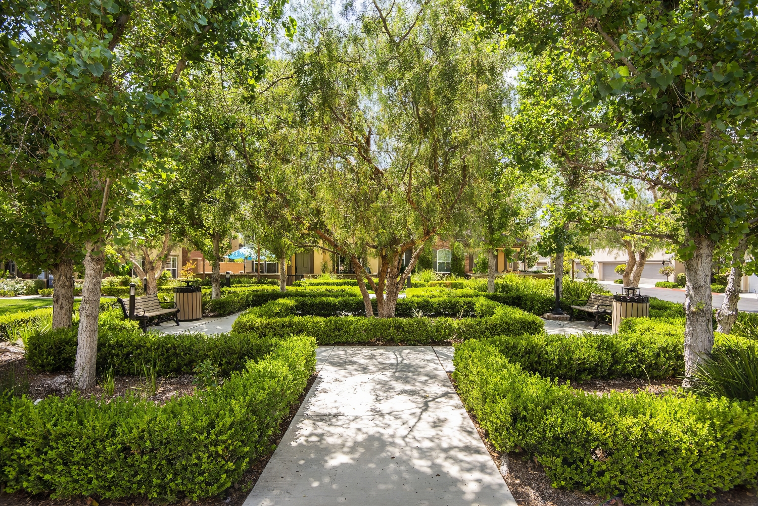 HOA Landscape Maintenance - ProQual Landscaping, AZ