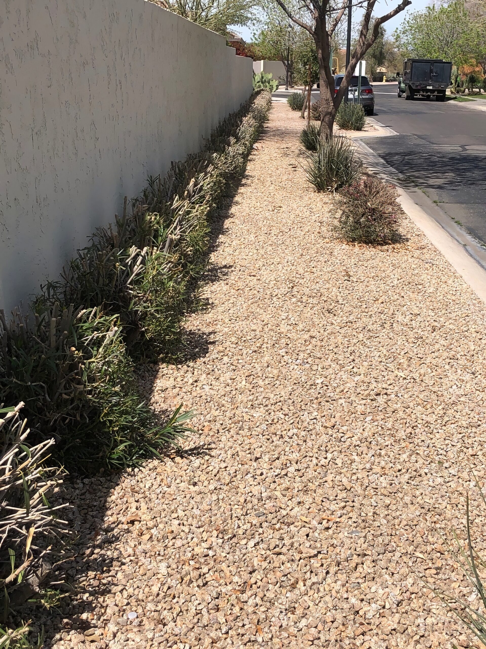 Fairways at Legacy Irrigation Renovation - ProQual Landscaping - AZ