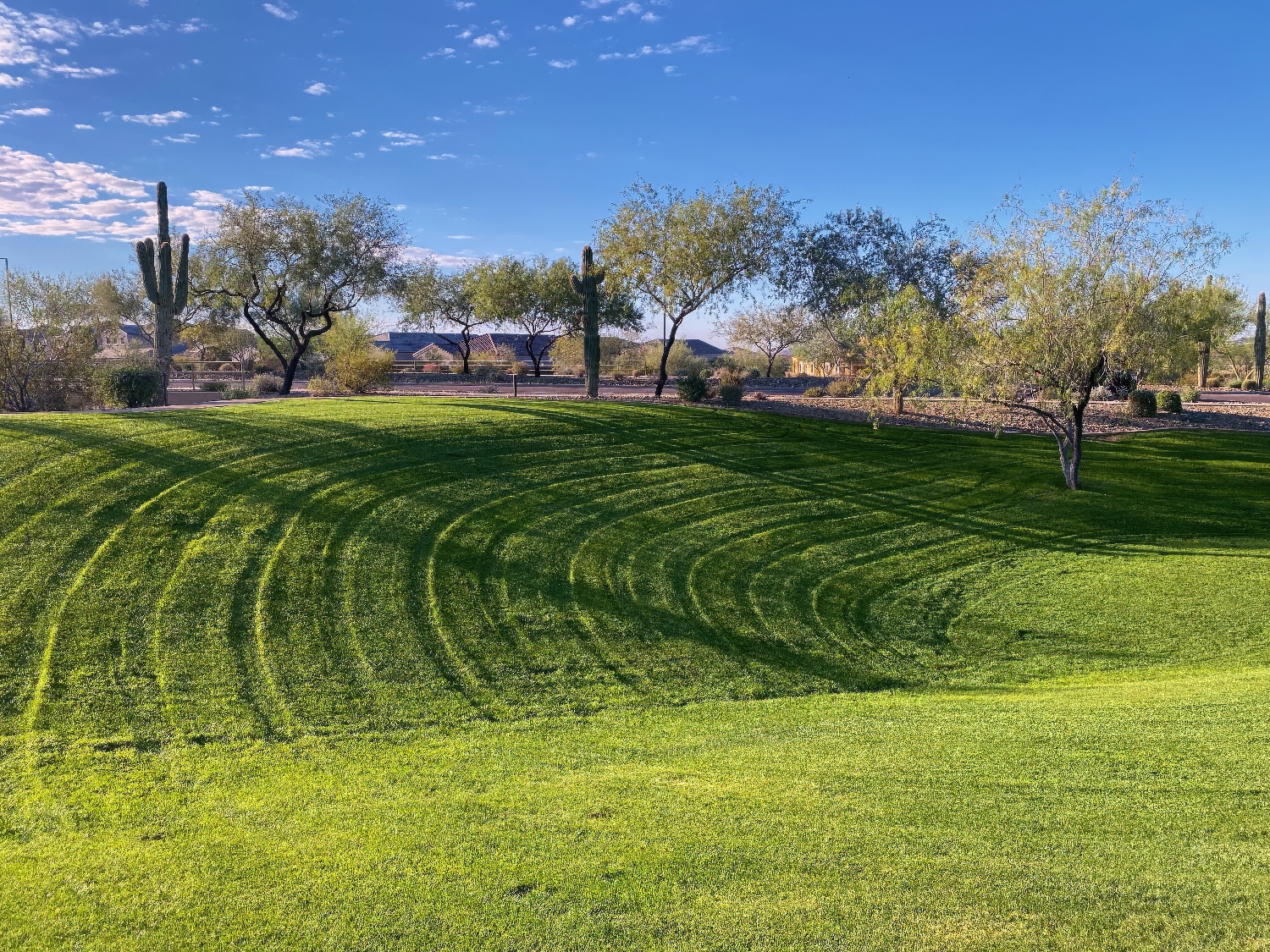 Fireside at Norterra Homeowners Association - Phoenix, AZ - ProQual Landscaping