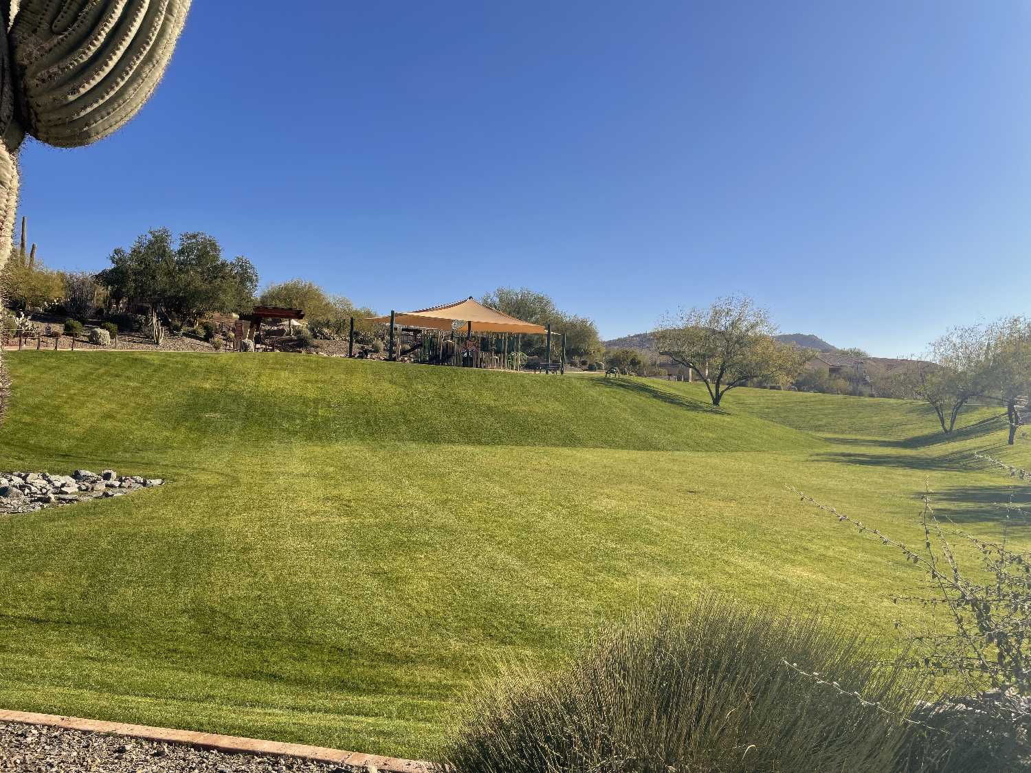 Fireside at Norterra Homeowners Association - Phoenix, AZ - ProQual Landscaping