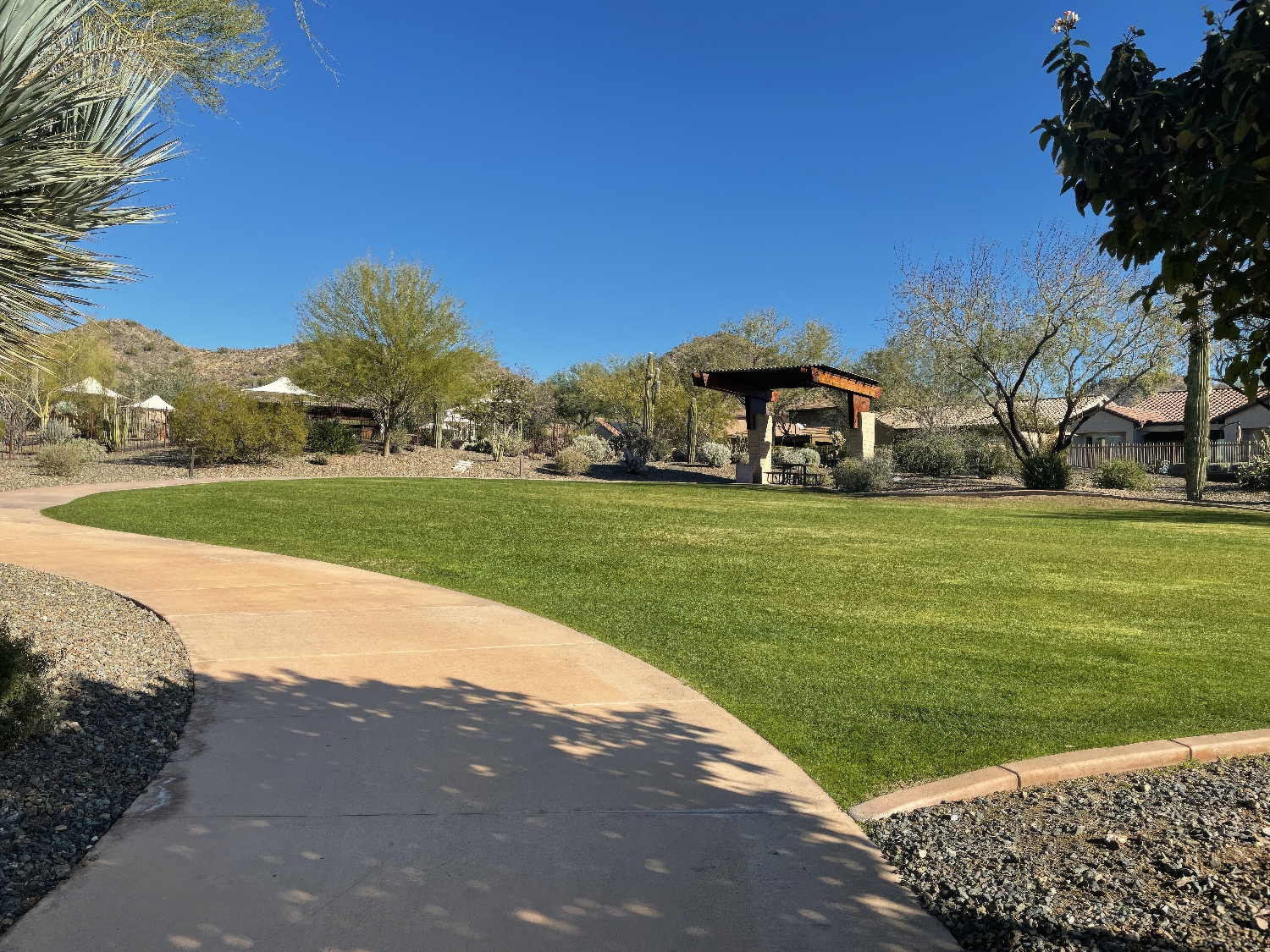 Fireside at Norterra Homeowners Association - Phoenix, AZ - ProQual Landscaping