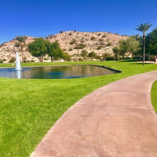 Mountain Park Ranch HOA - ProQual Landscaping - AZ