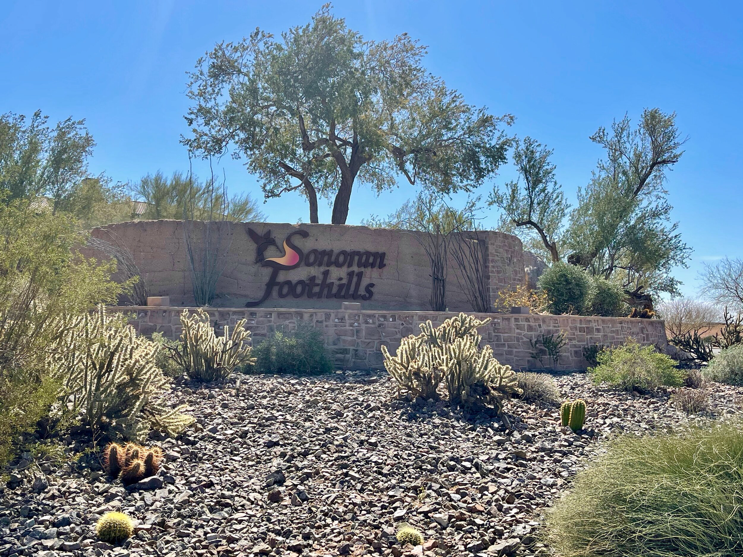 Sonoran Foothills - HOA Landscape Maintenance - ProQual Landscaping, AZ