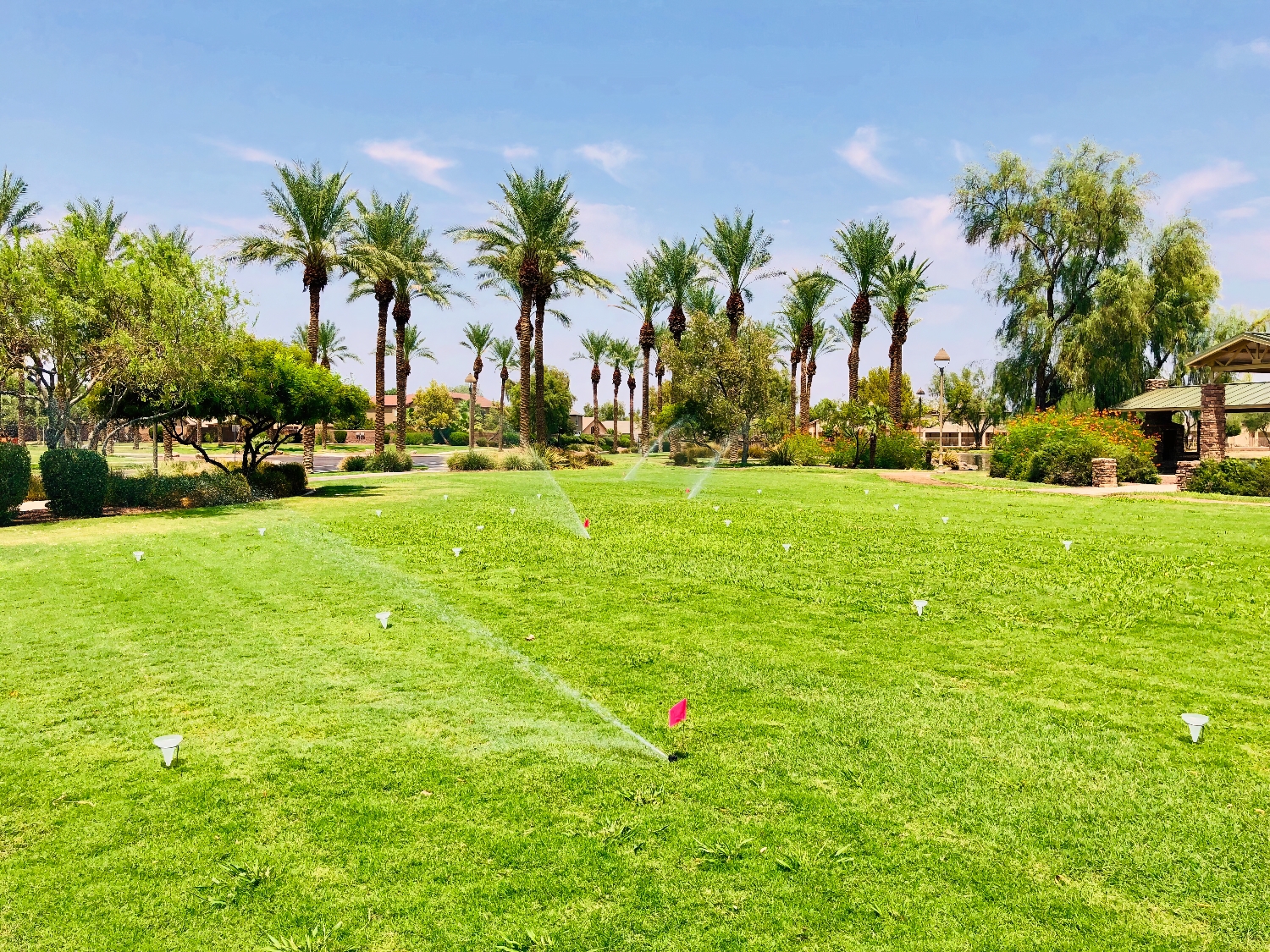 Landscape Design and Installation - ProQual Landscaping Company